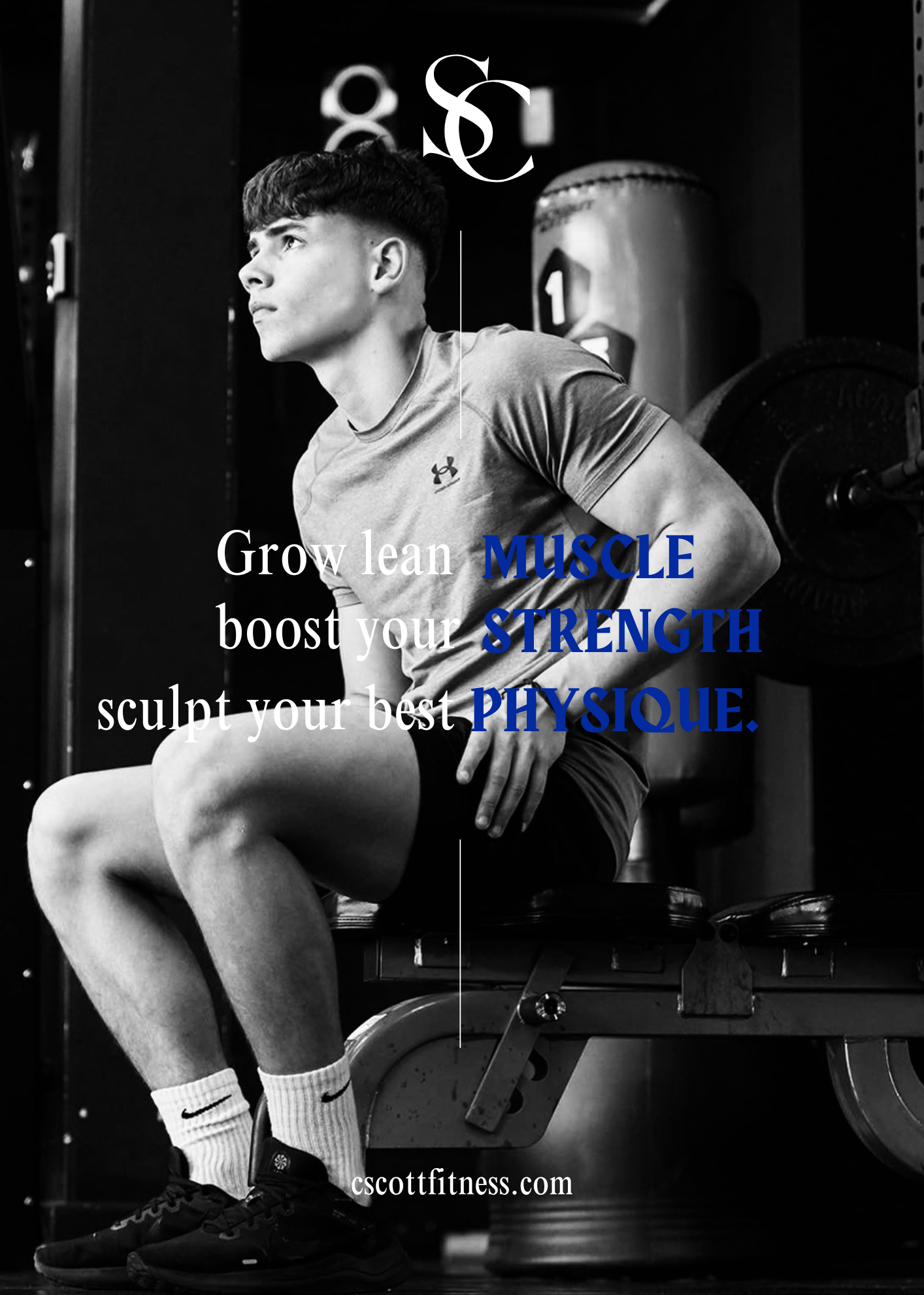 Muscle Gain Plan (12-Week Program)